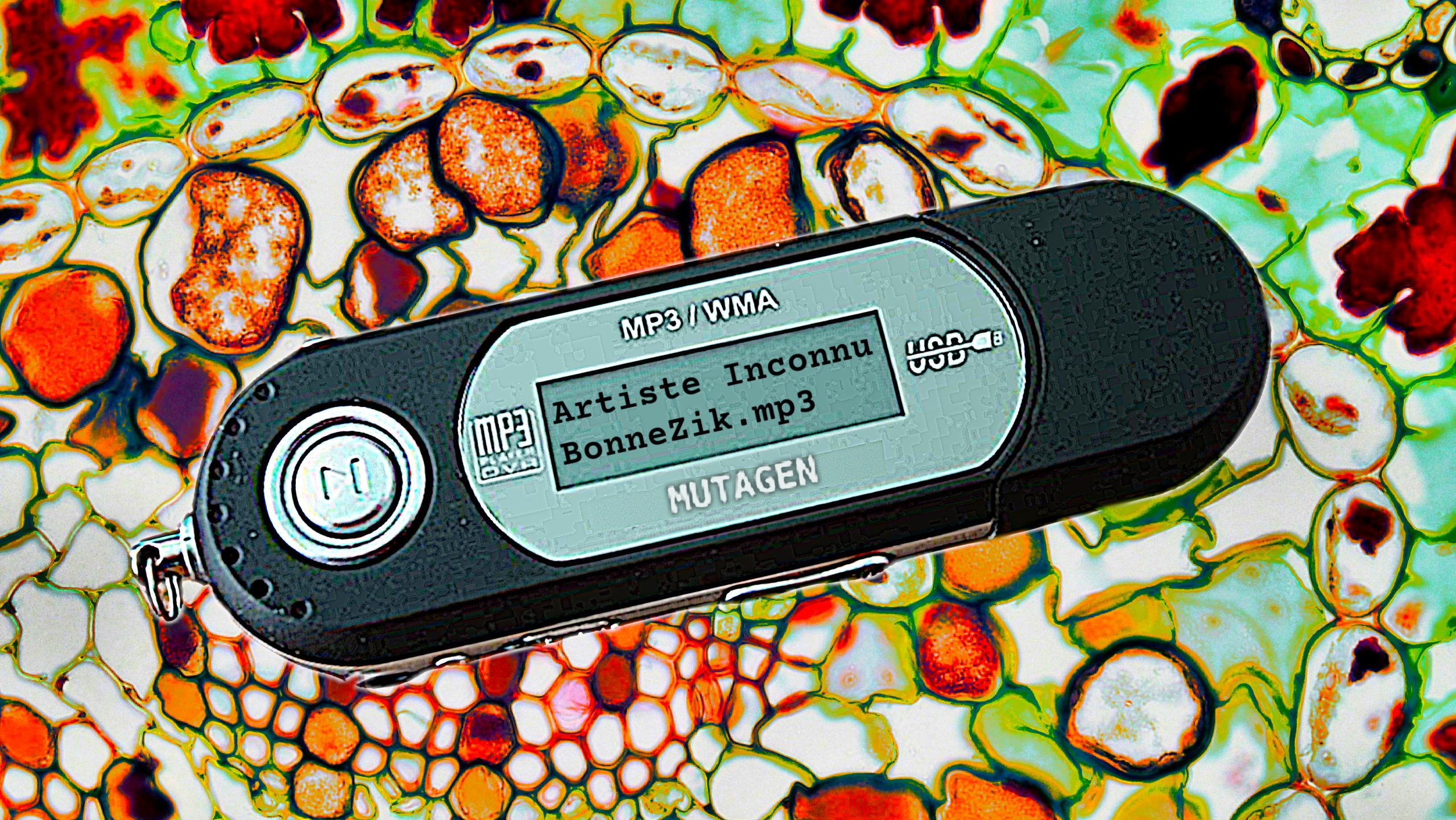 Image d'un lecteur mp3 où il y a marqué "Artiste Inconnu" "Bonne Zik point mp3". Il y a également noté "Mutagène", c'est le nom d'un élément cité dans l'article.